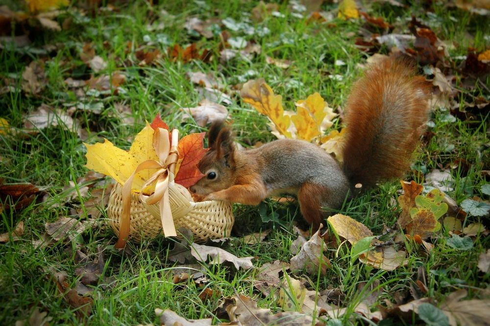 Photograph by Татьяна Сычёва