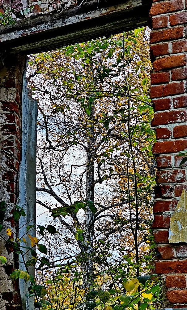 Photograph by Свиденцов Михаил