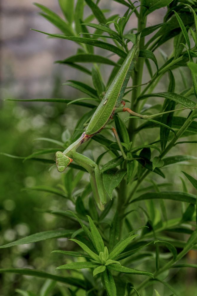 Photograph by Азат Кадиров