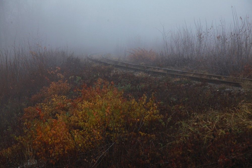 Photograph by Борис Астафьев