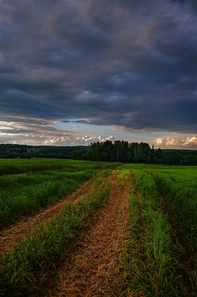 Photograph by Наталья Золотарева