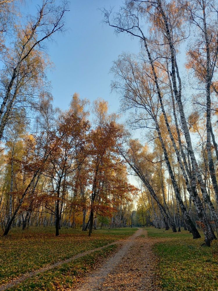 Фотография автора Oksana Podgorodetska