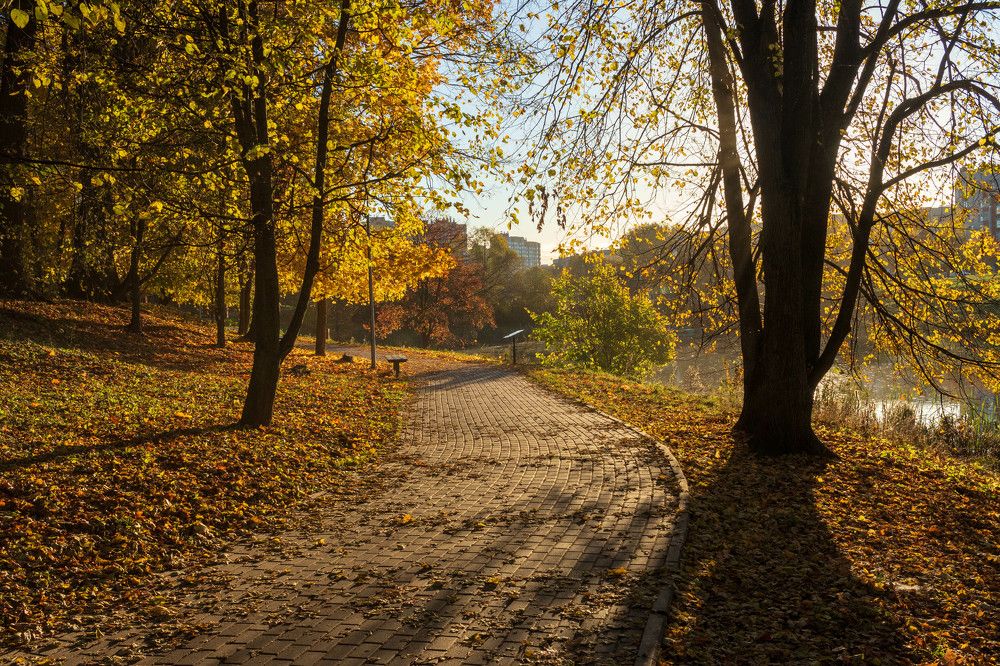 Photograph by Александр Корженков