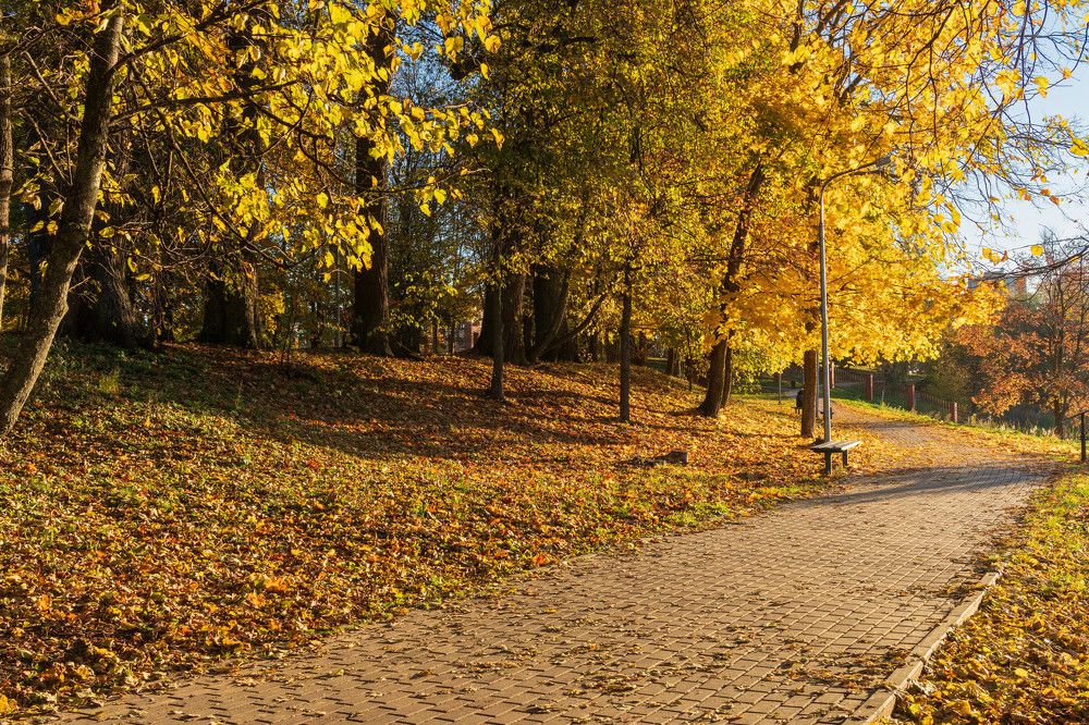 Photograph by Александр Корженков