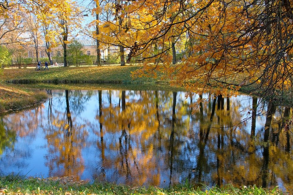 Photograph by Наталия Романова