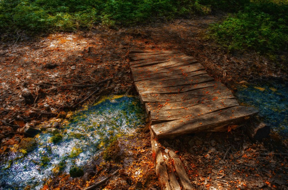 Photograph by Наталья Золотарева