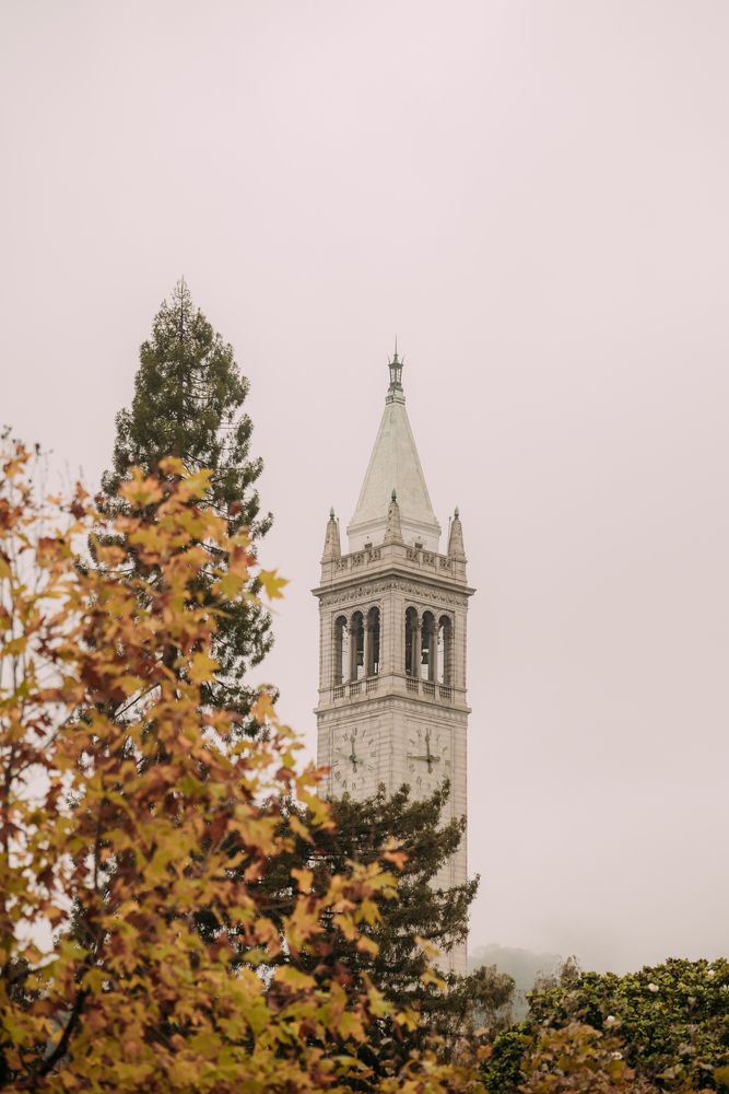 Photograph by Anna Vlasova