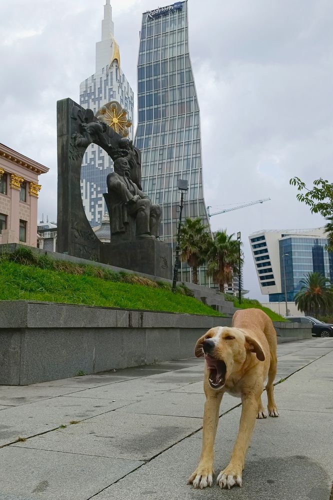 Фотография автора Larisa Meshkova