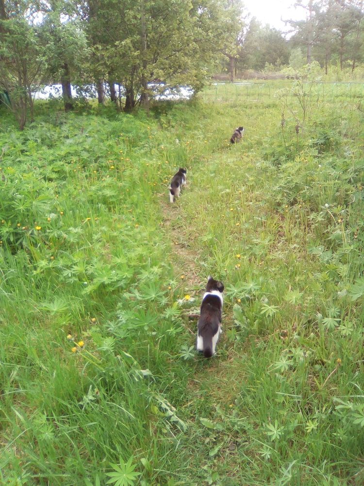 Photograph by Светлана Петрова