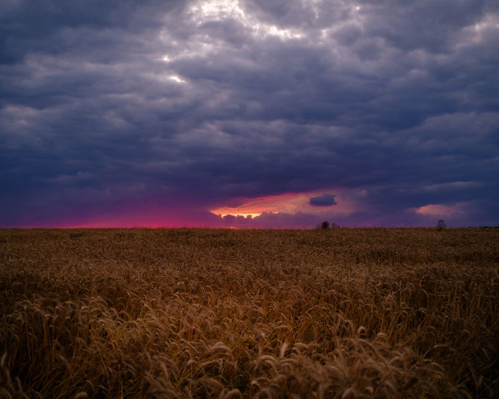 Фотография автора Pavel Tsimashenka