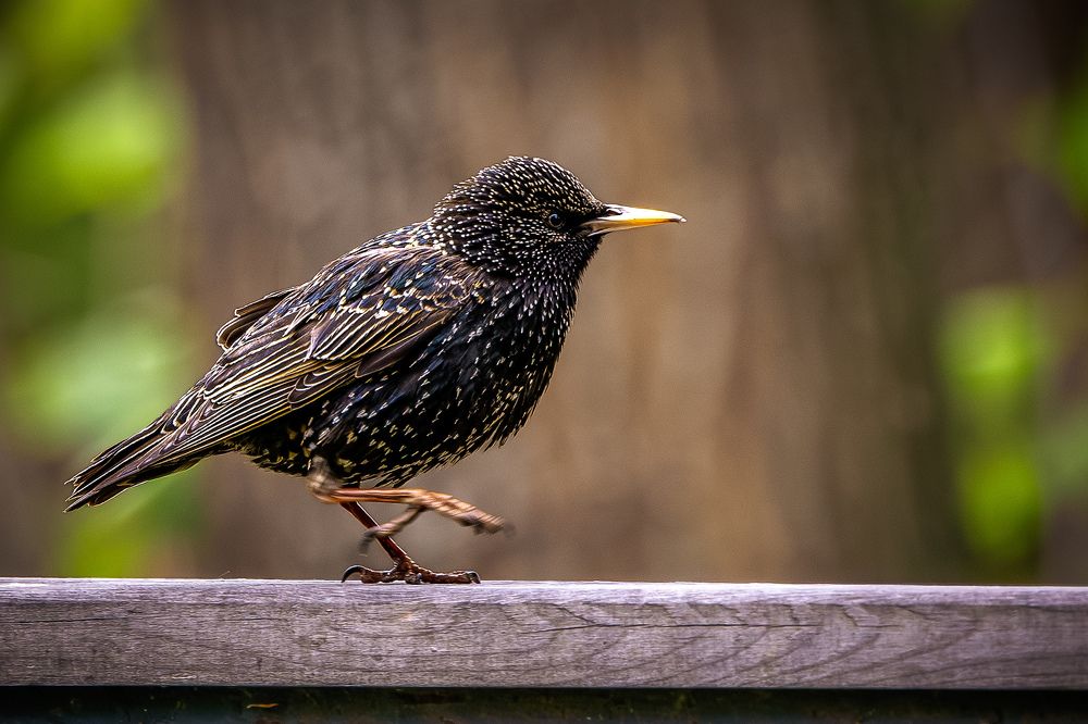 Photograph by Юлия Калугина