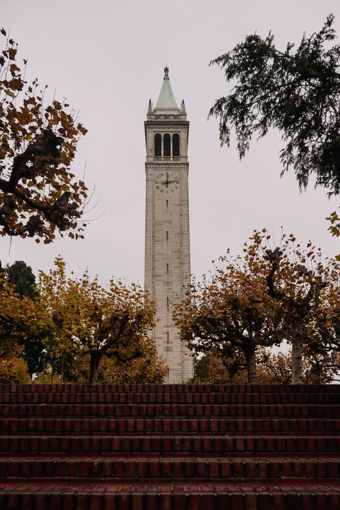 Photograph by Anna Vlasova