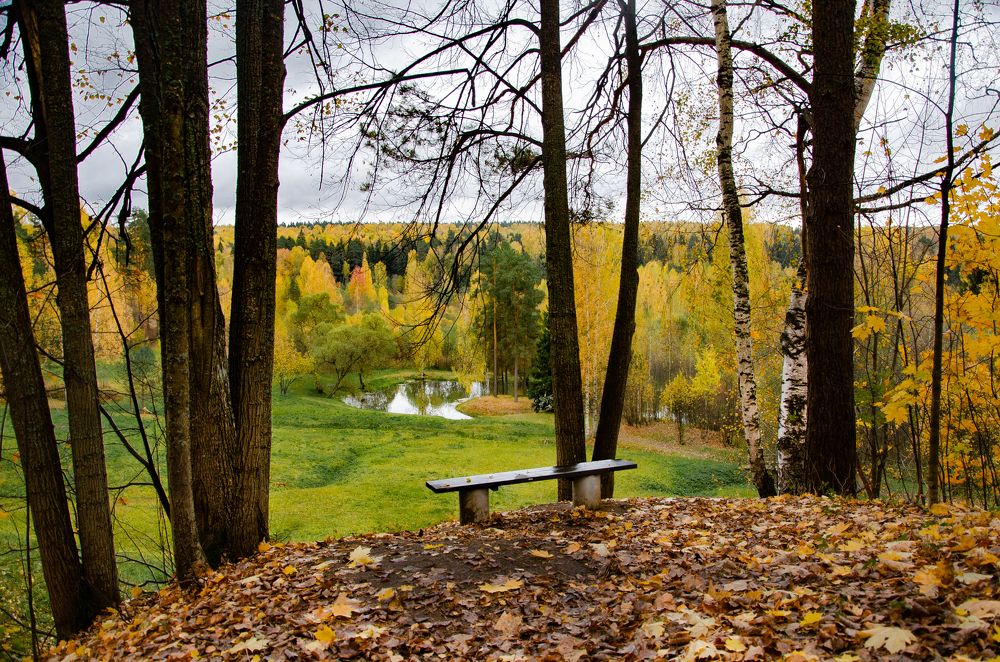 Photograph by Галина Сеницкая