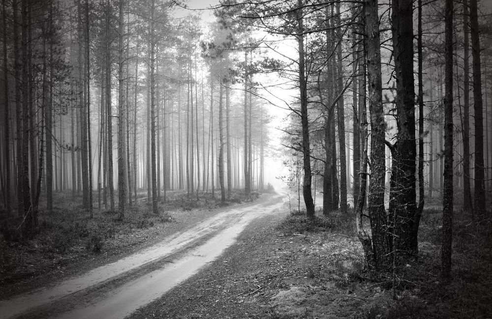 Photograph by Андрей Куликов