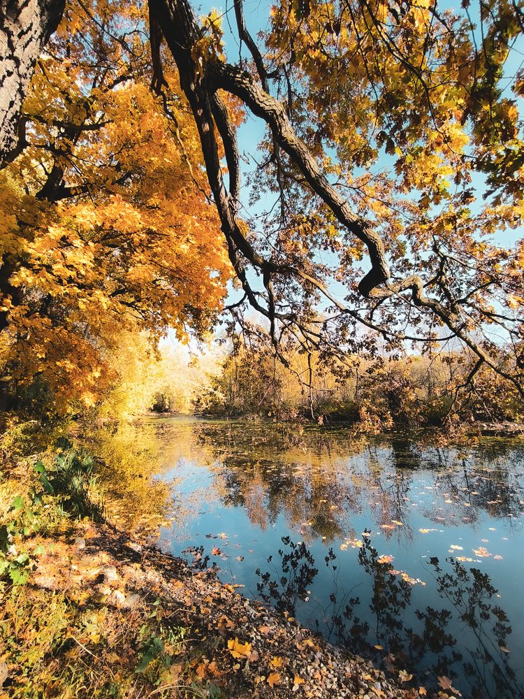 Photograph by Маргарита Смоленская