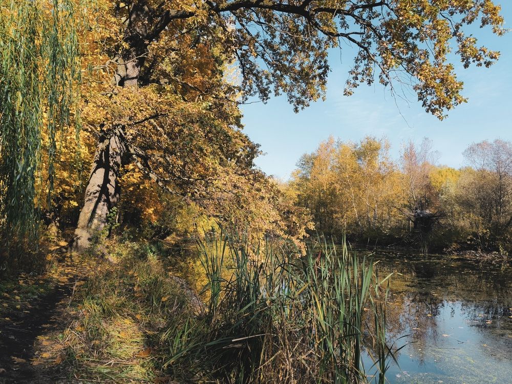 Photograph by Маргарита Смоленская