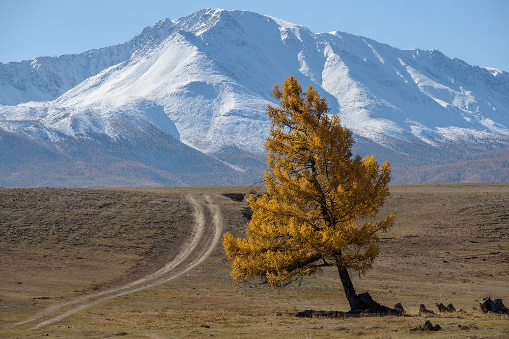 Photograph by Леонид Синев