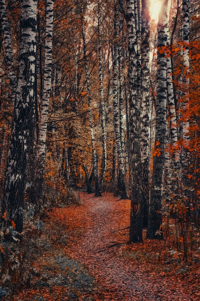 Photograph by Алексей Еремеев