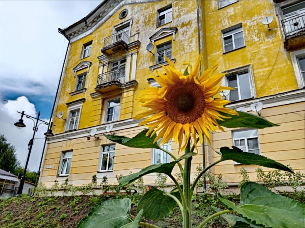 Photograph by Юлия Локалова