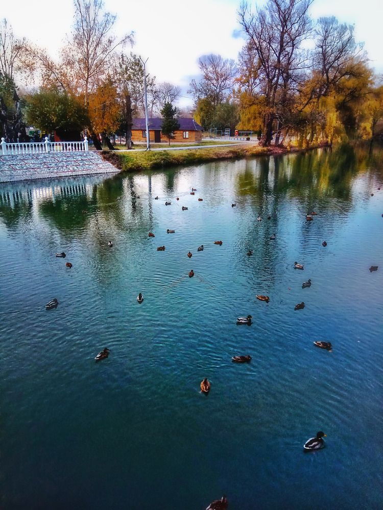 Photograph by Алла Холодова