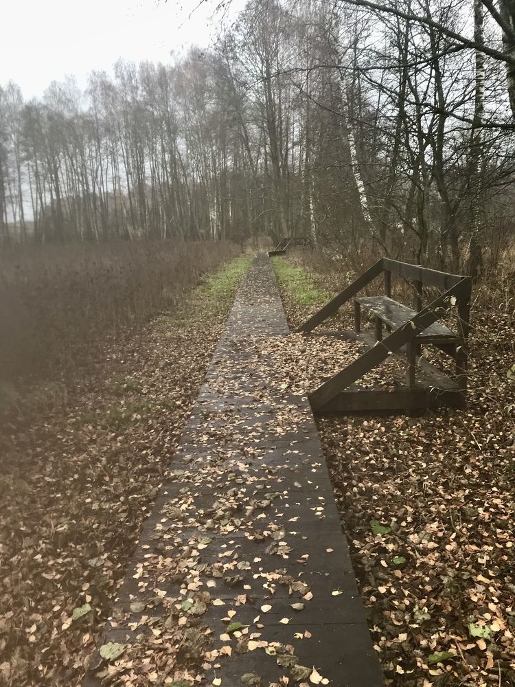 Photograph by Надежда Ткаченко