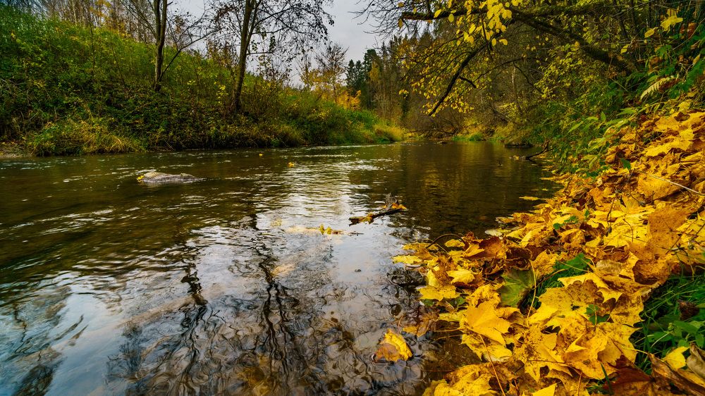 Photograph by Станислав Бубнов