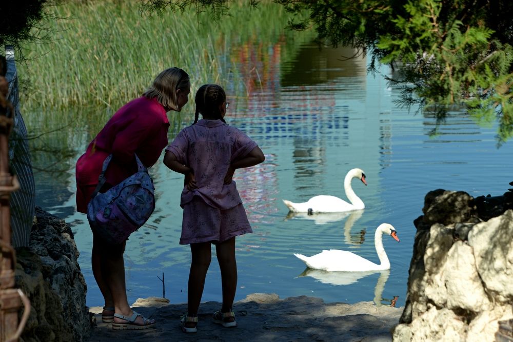 Photograph by Глеб Рубашкин
