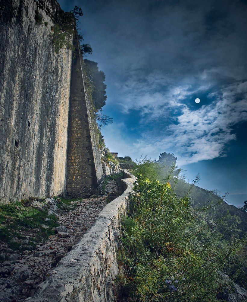 Фотография автора Анатолий Дауров