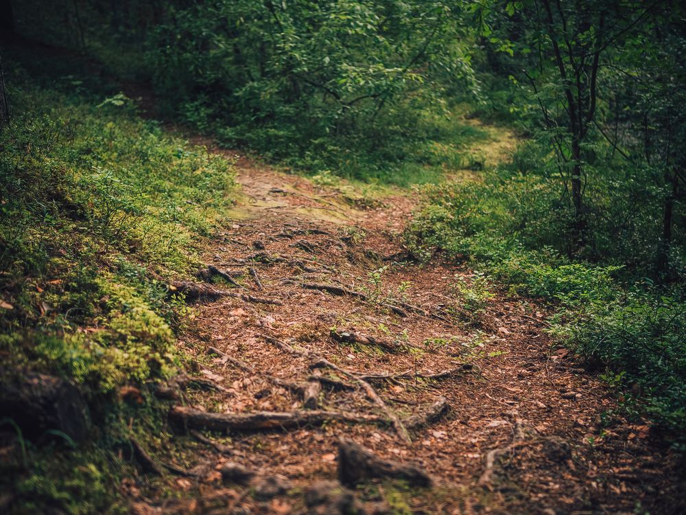 Photograph by Владимир Поздняков