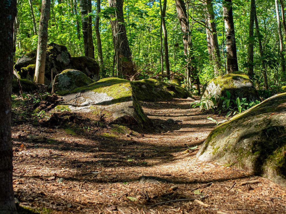 Photograph by Владимир Поздняков