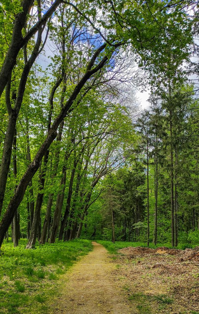 Photograph by Анастасия Семилетова