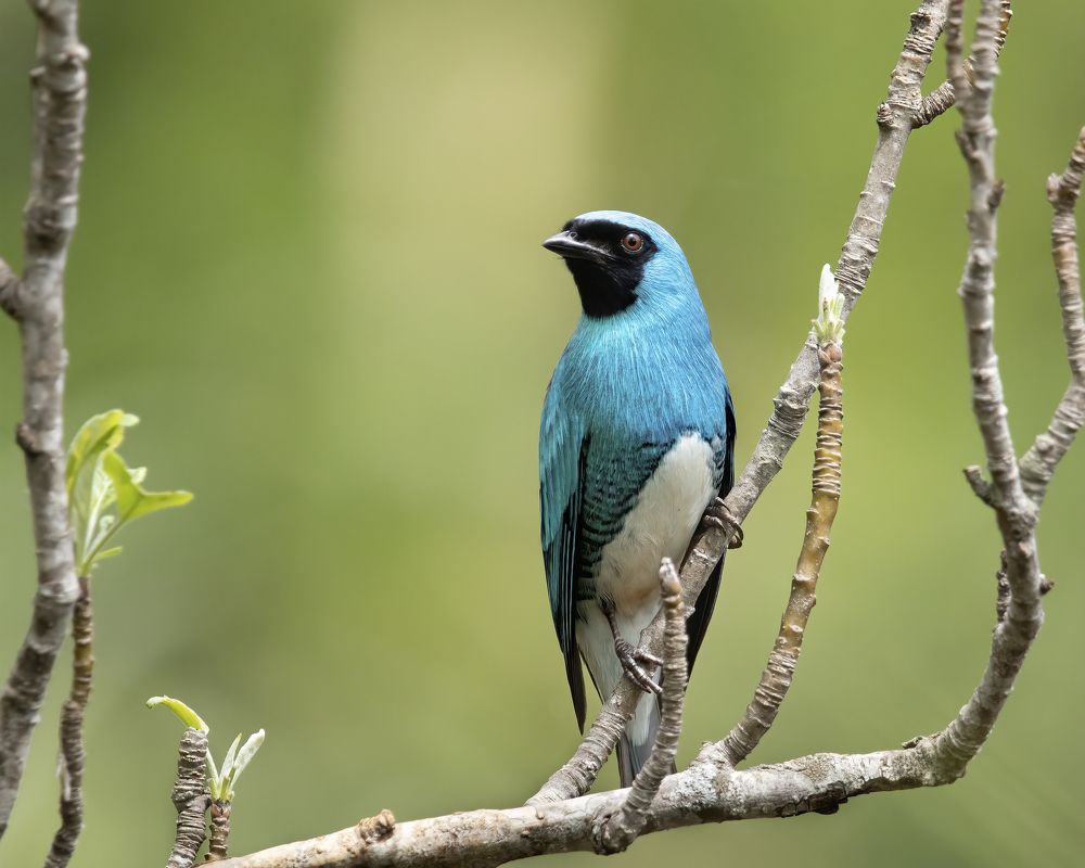 Photograph by Rodrigo Ramos