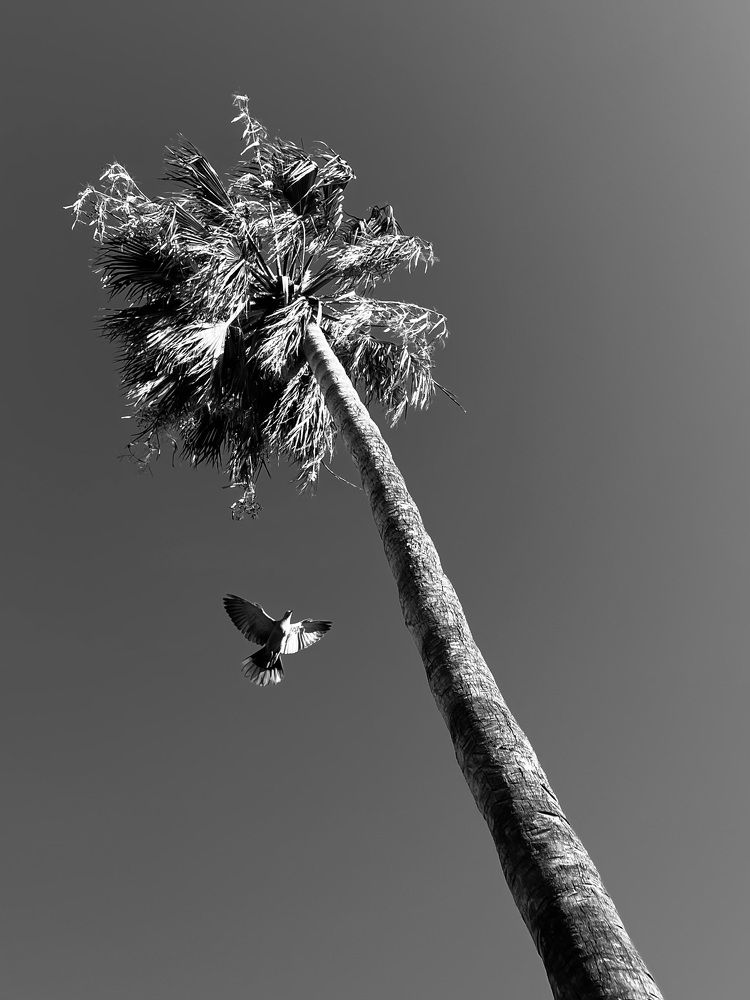 Фотография автора Kaestartsie