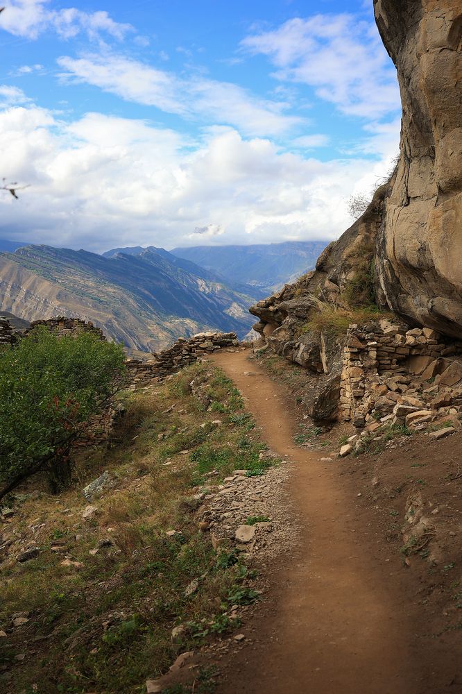 Photograph by Елена Анучина