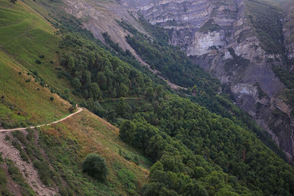 Photograph by Елена Анучина