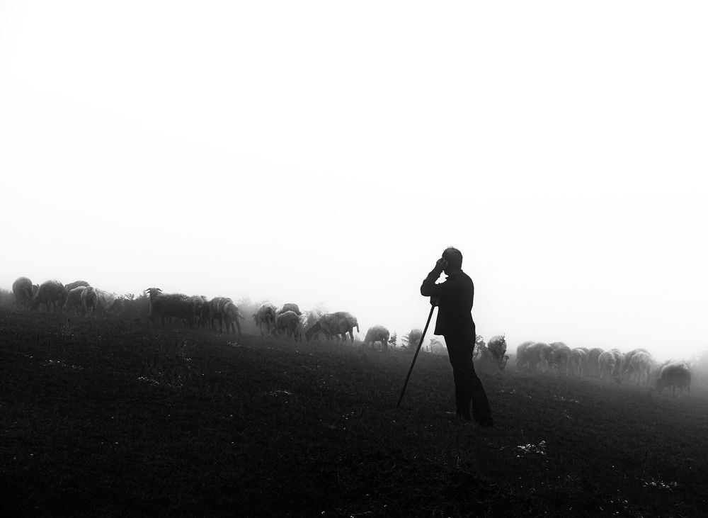 Photograph by Riahi Hosein