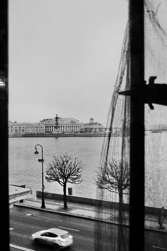 Вид из окна Эрмитажа.