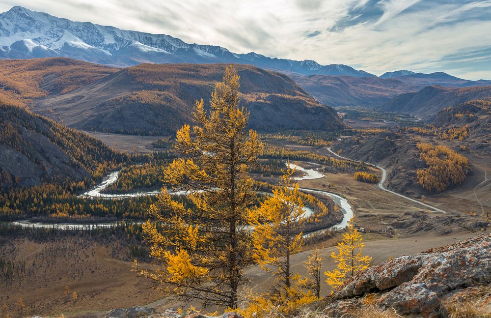 Photograph by Tatyana