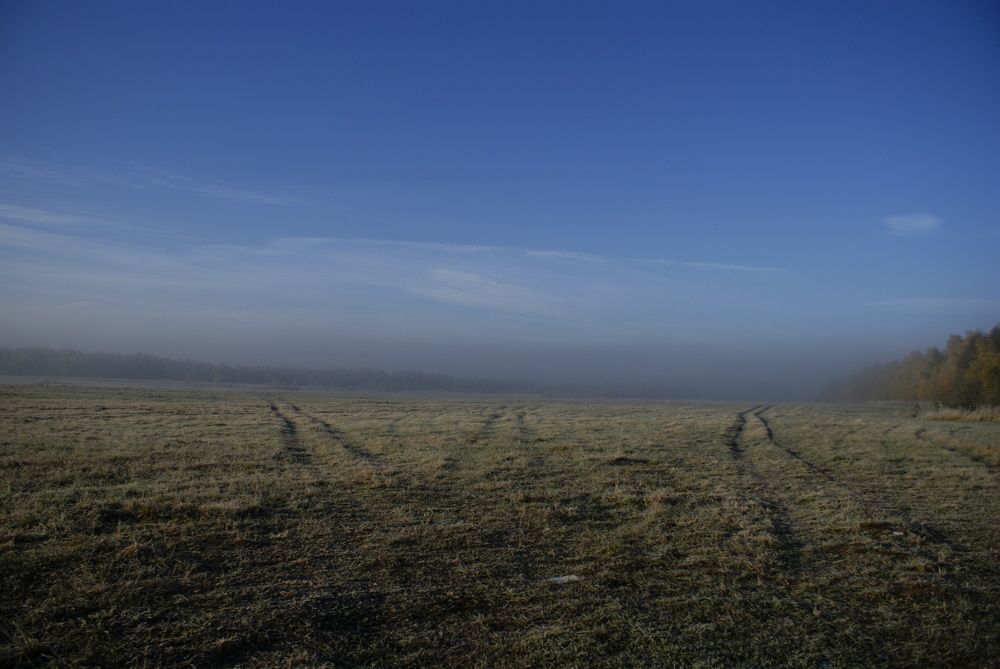 Пути-дороги