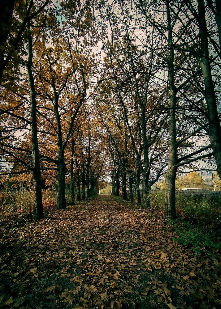 Photograph by Олеся Бронзова