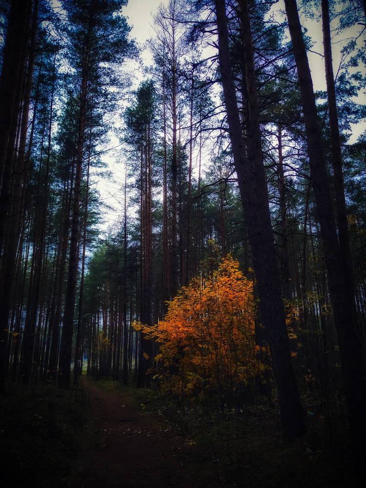 Photograph by Олеся Бронзова