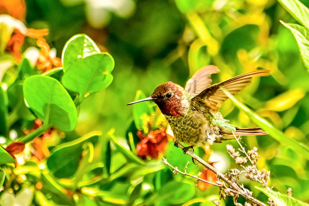 Photograph by Luis Rodríguez Araiza