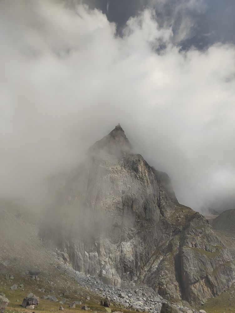 Photo #11235544
