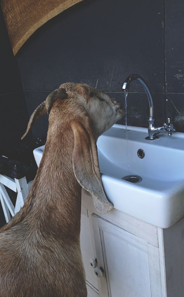 Photograph by Татьяна Сычёва