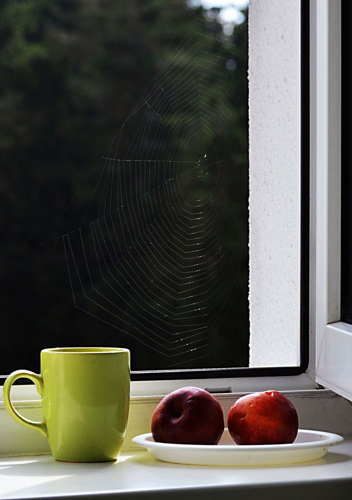 Фотография автора Александр Зарх