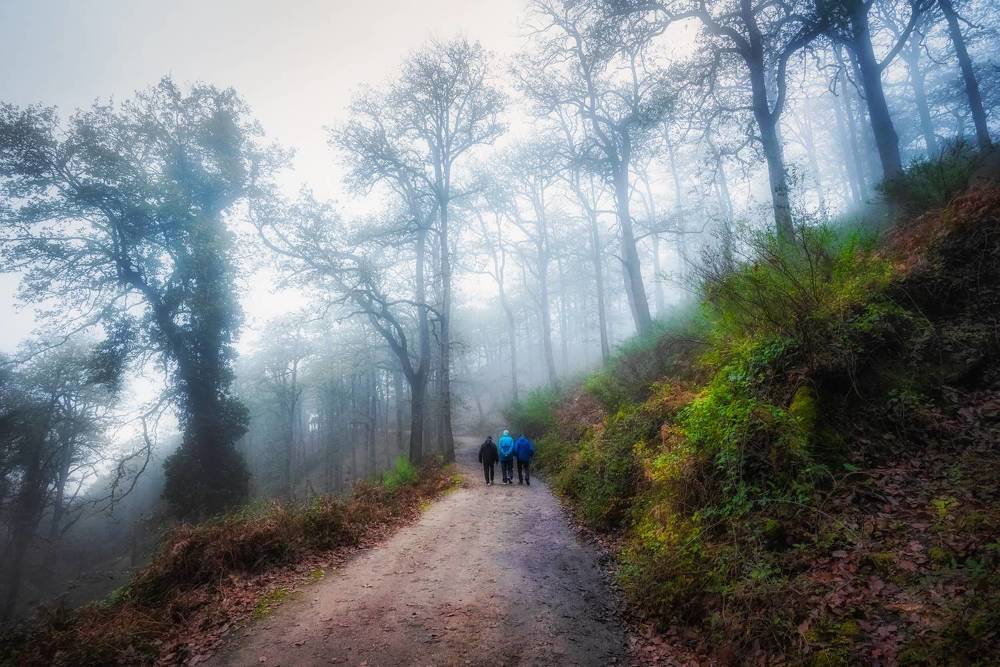 Photograph by Fehd Ghammit