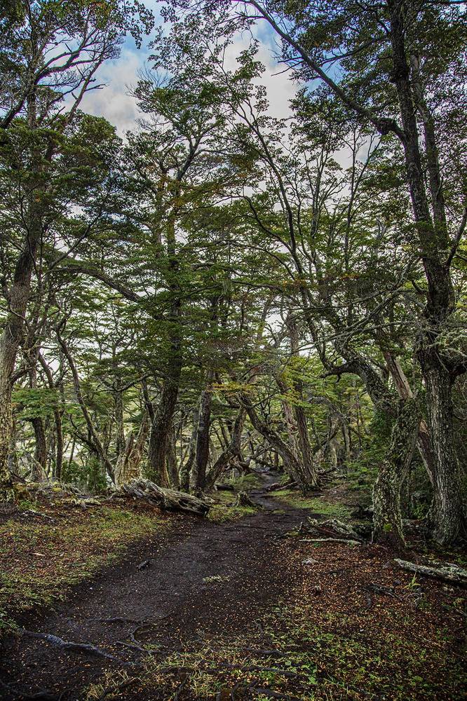 Фотография автора Marina Martorelli