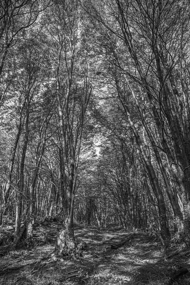 Фотография автора Marina Martorelli