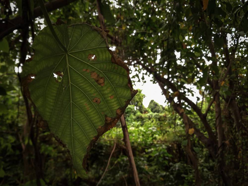 Photograph by MARK ANTHONY SANTOS