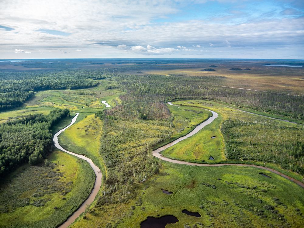 водная извилистая тропинка ллетней Сибири